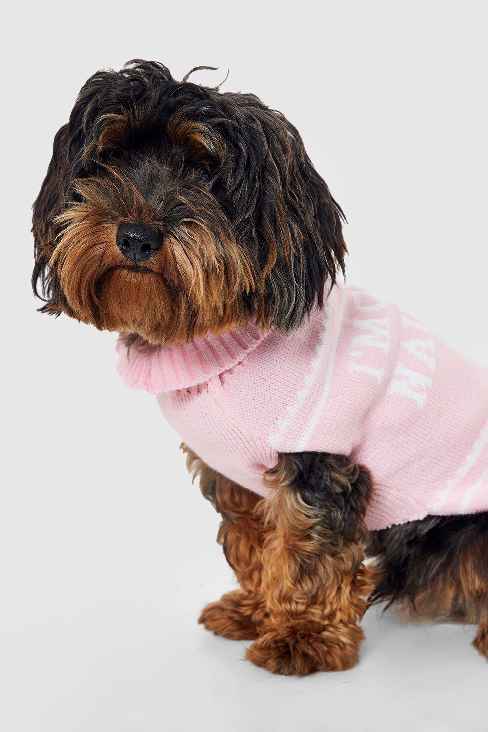 Pull chien online noel